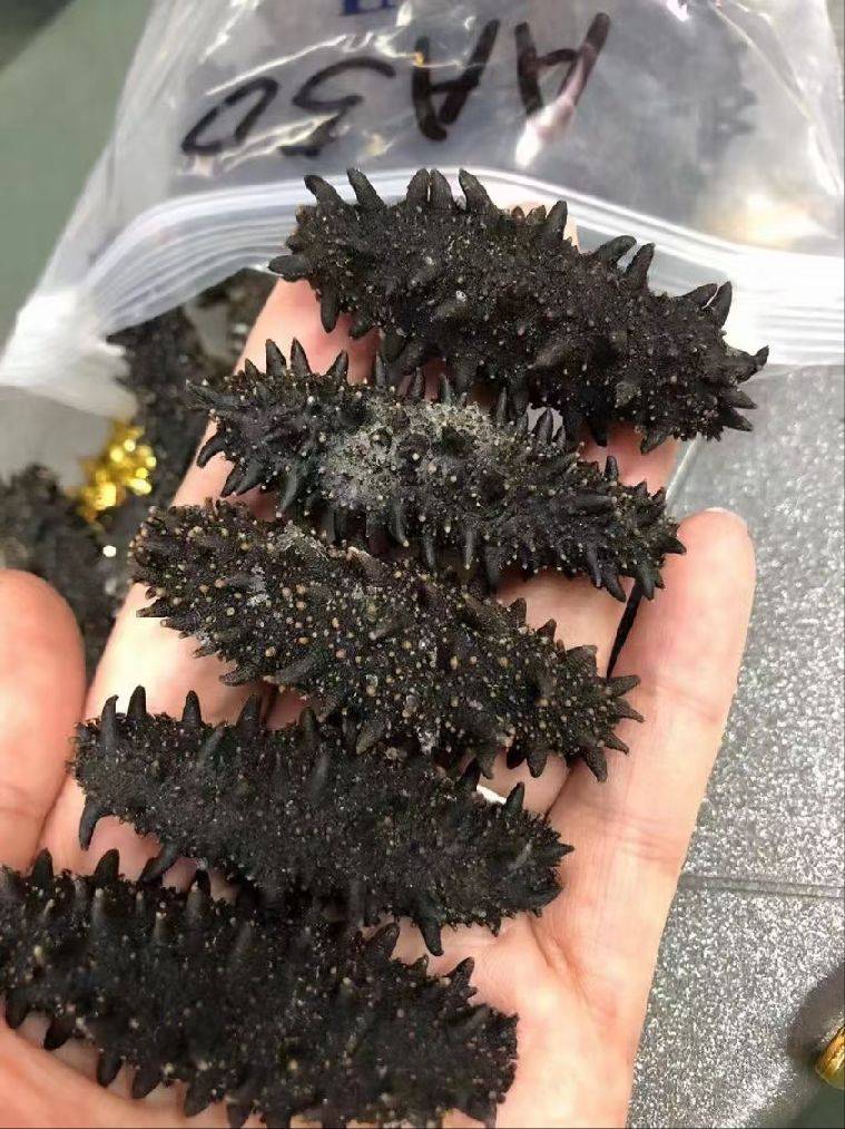 图片咋没了啊