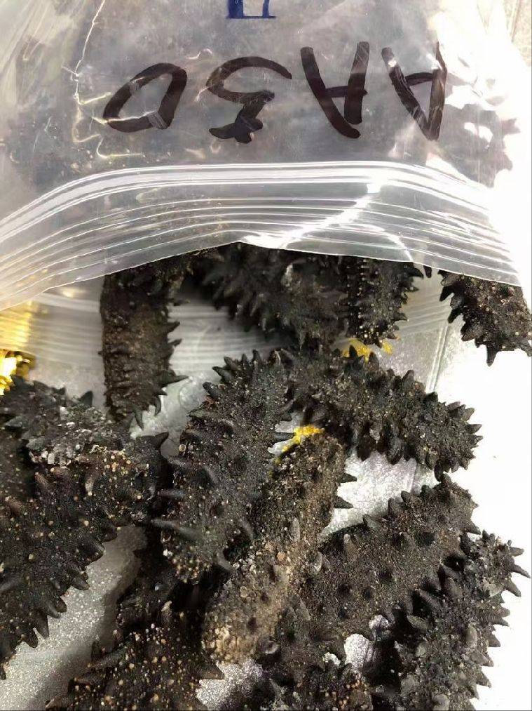 图片咋没了啊