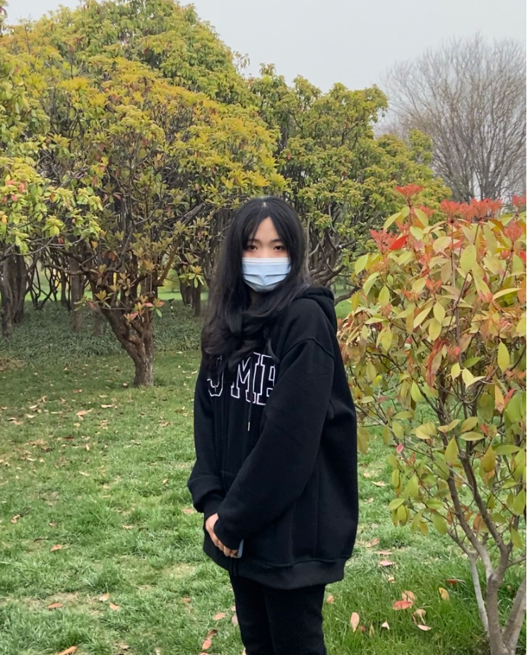 图片咋没了啊