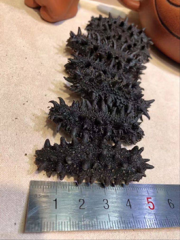 图片咋没了啊