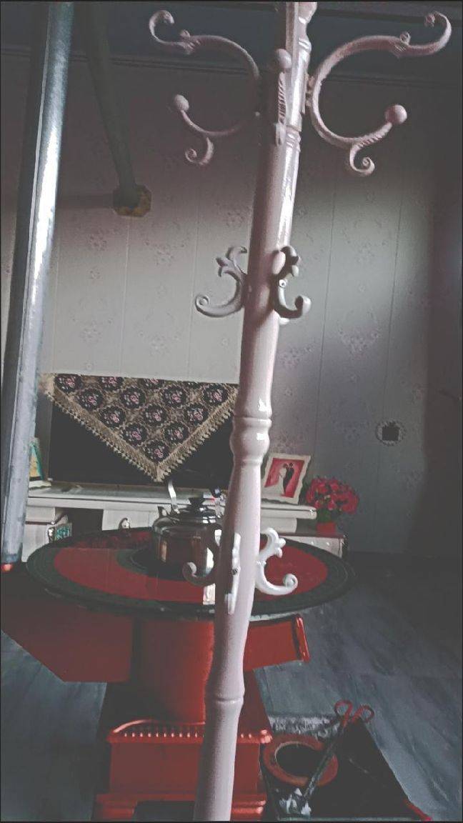 图片咋没了啊