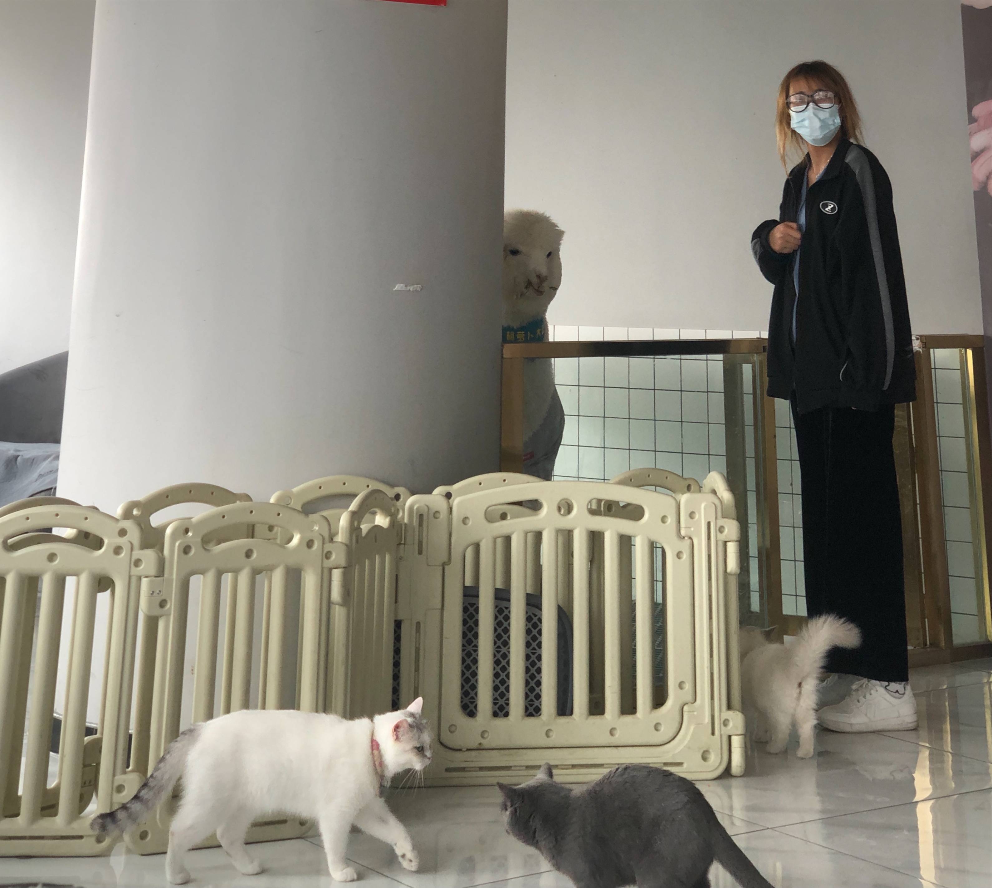 图片咋没了啊