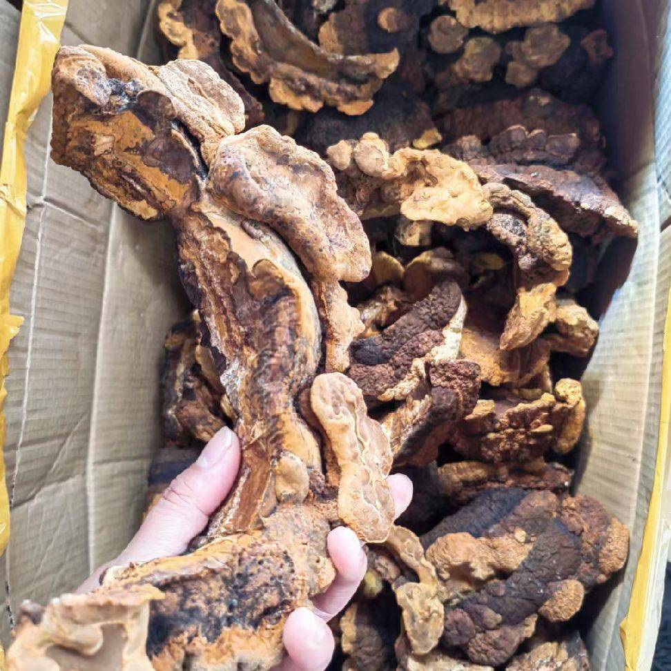 图片咋没了啊
