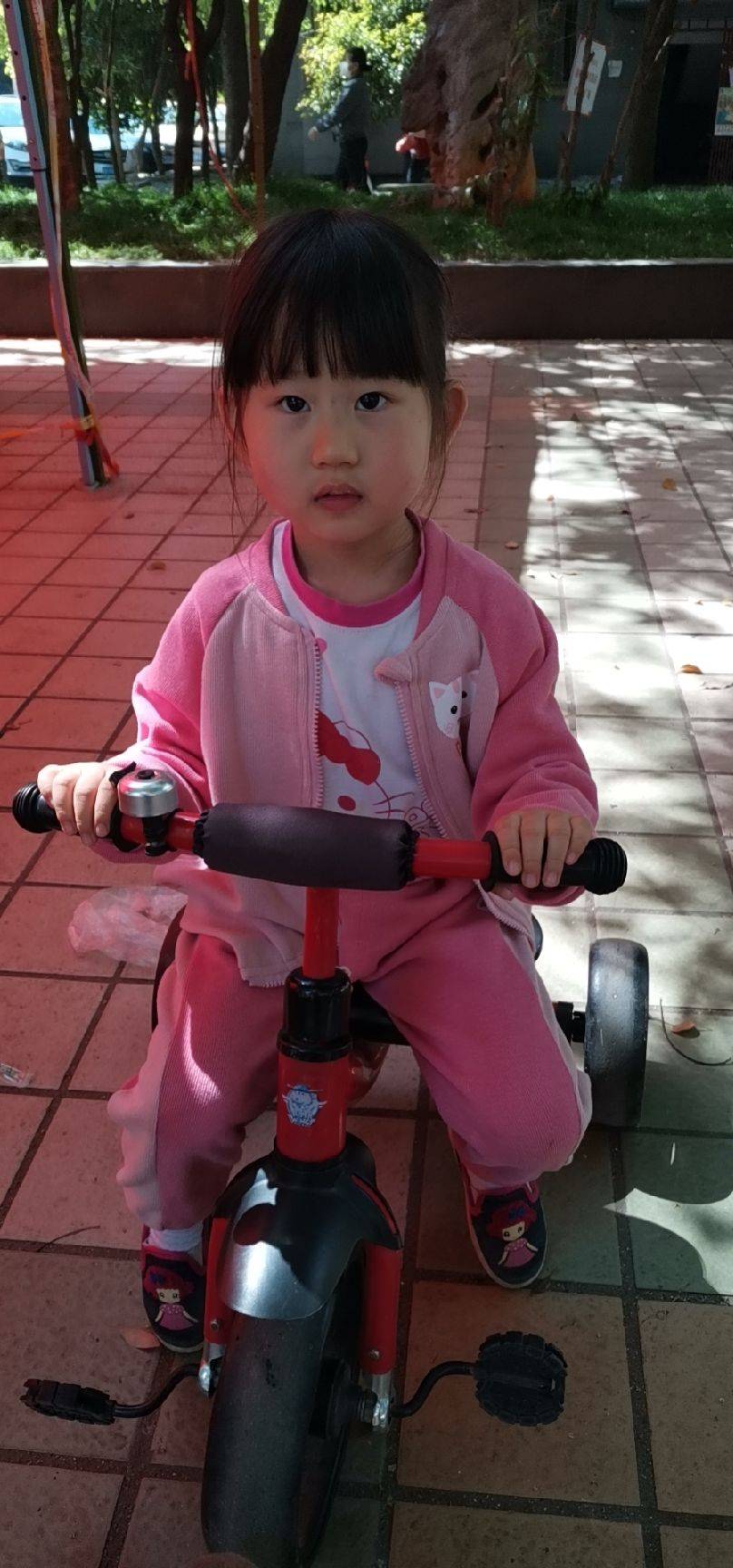 图片咋没了啊