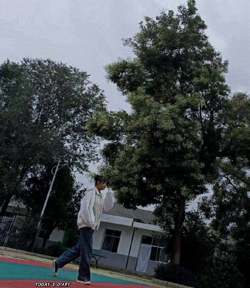 图片咋没了啊