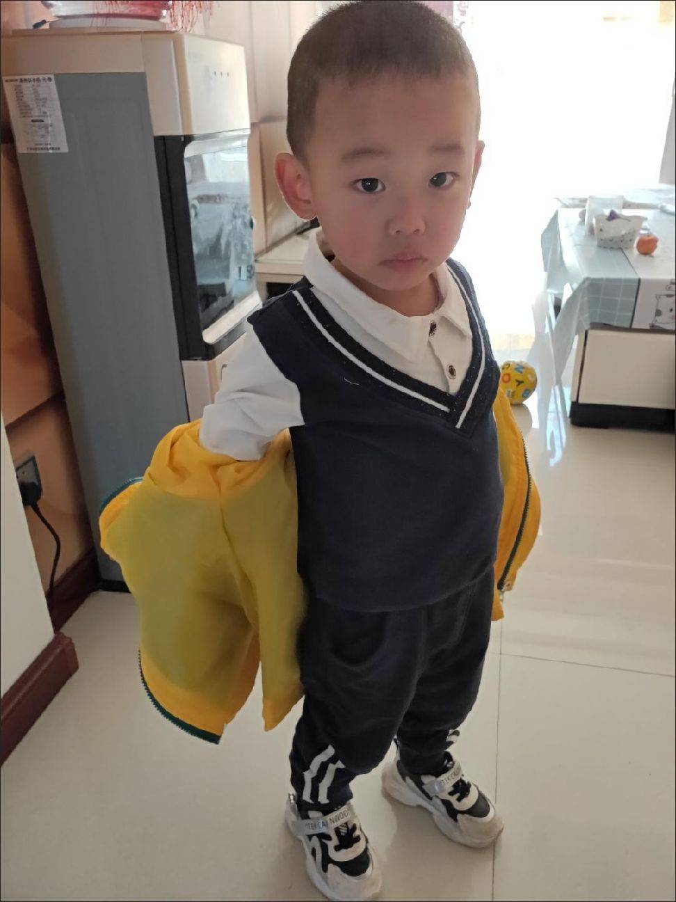 图片咋没了啊