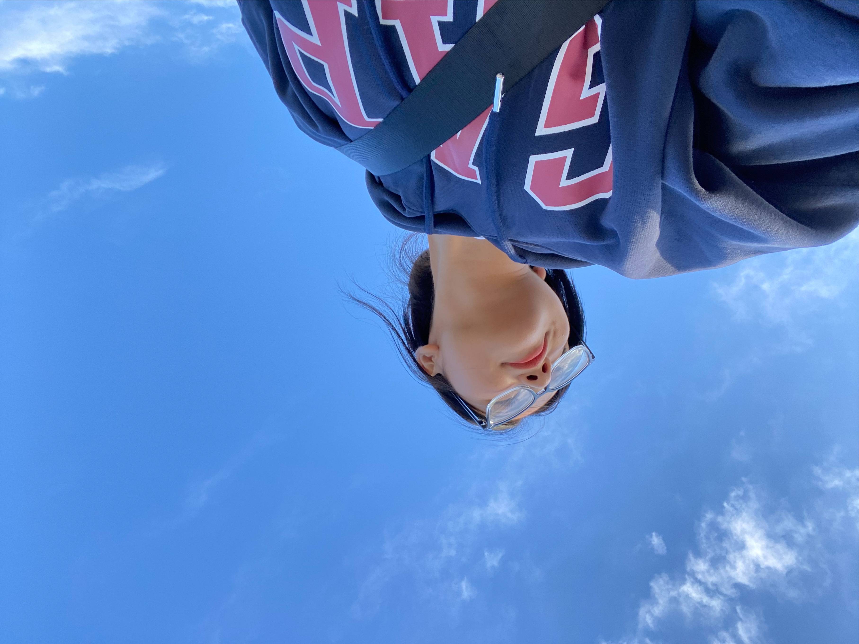 图片咋没了啊