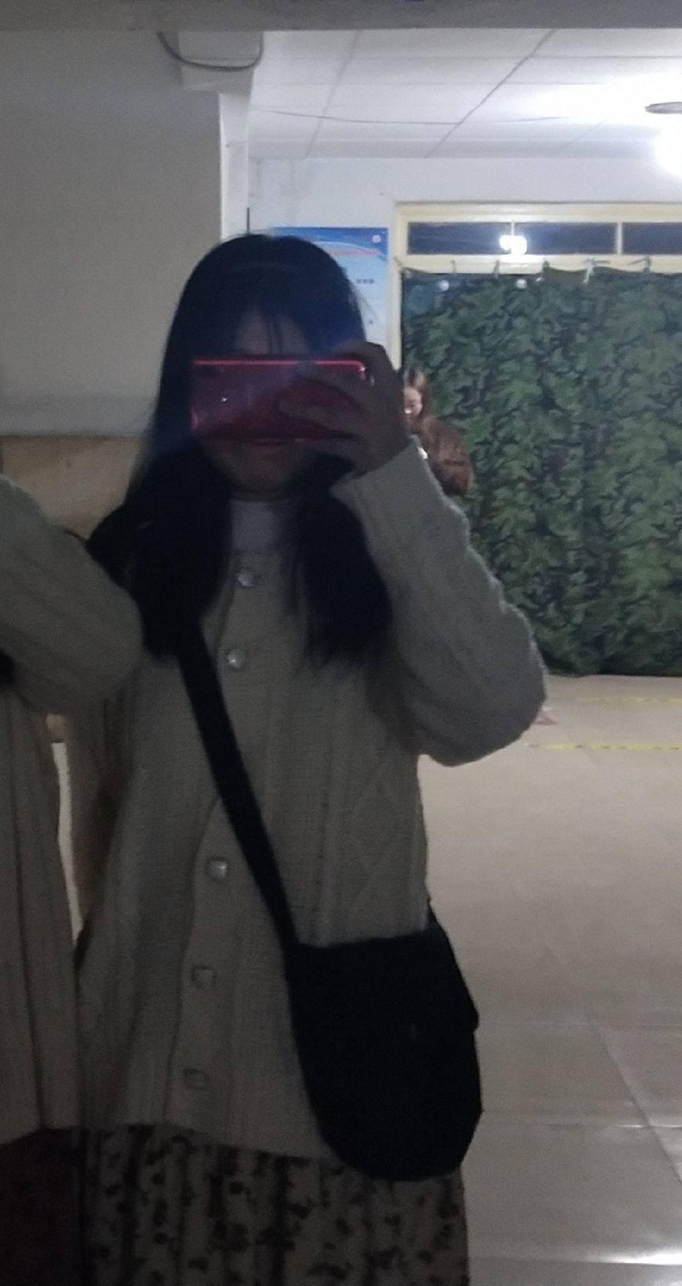图片咋没了啊
