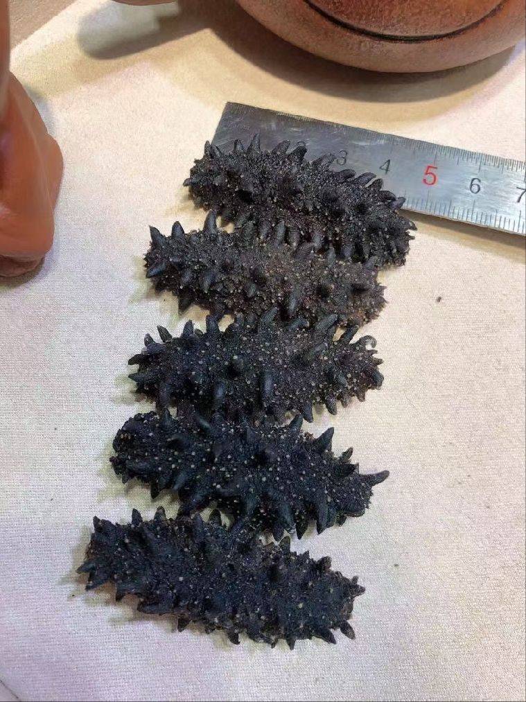 图片咋没了啊