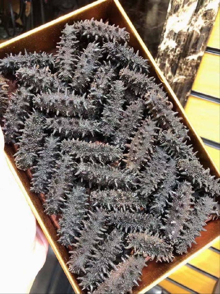 图片咋没了啊