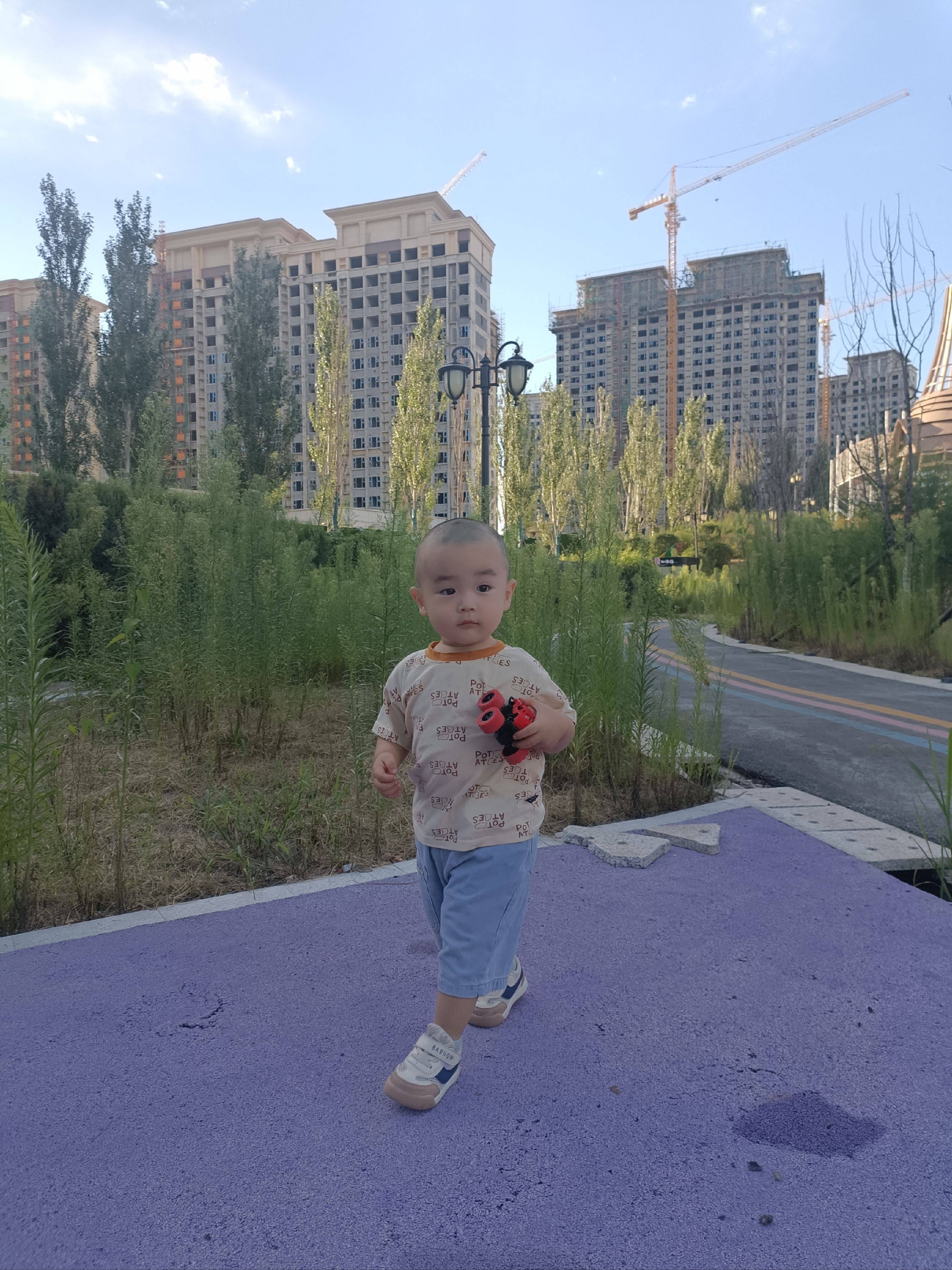 图片咋没了啊