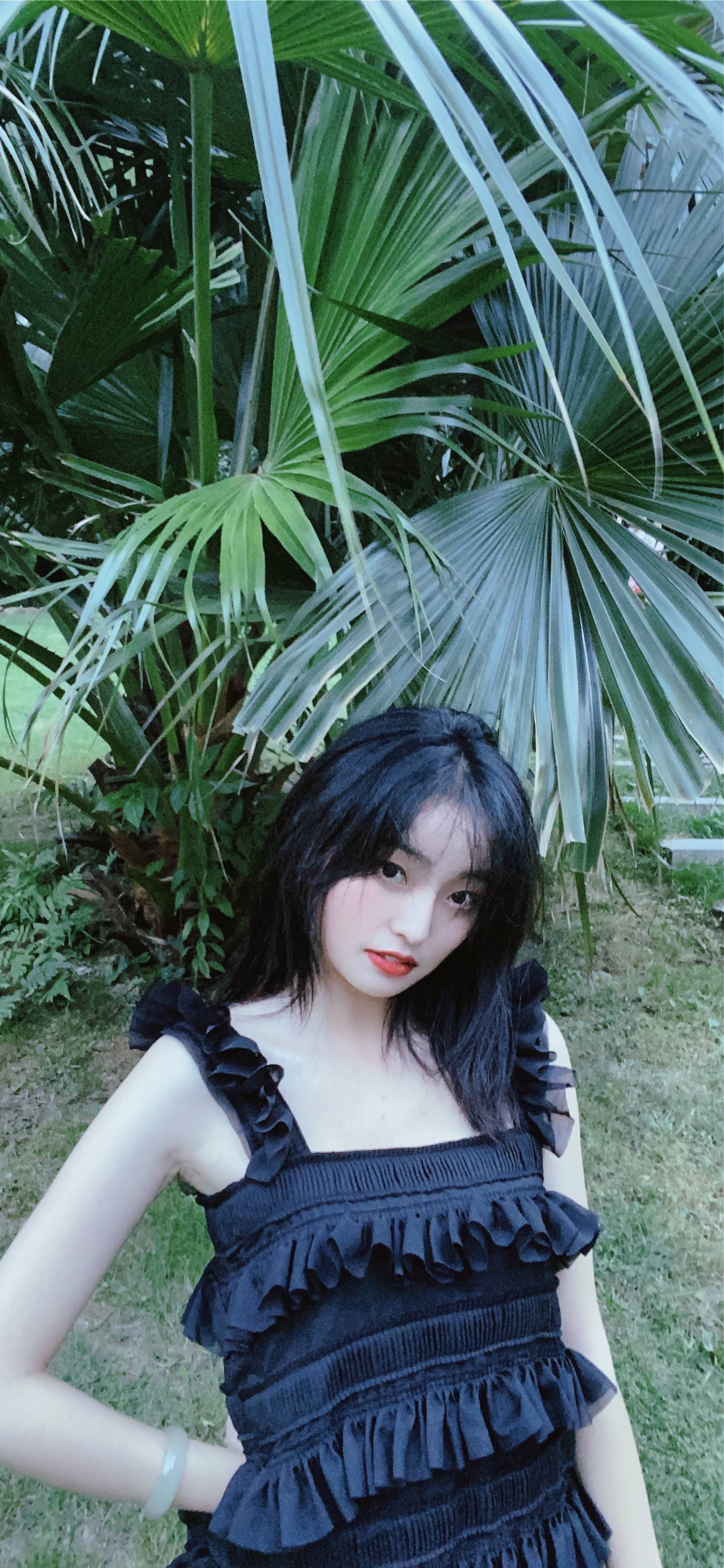 图片咋没了啊